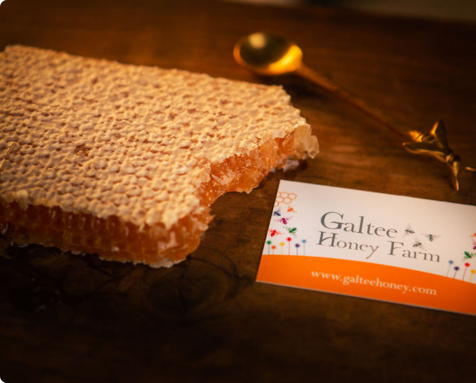Galtee Honey