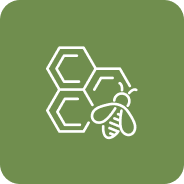green bee icon