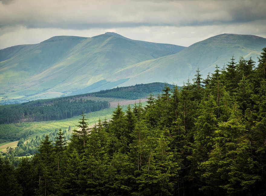Galtee Mountains, Ballyhoura, Co Limerick
