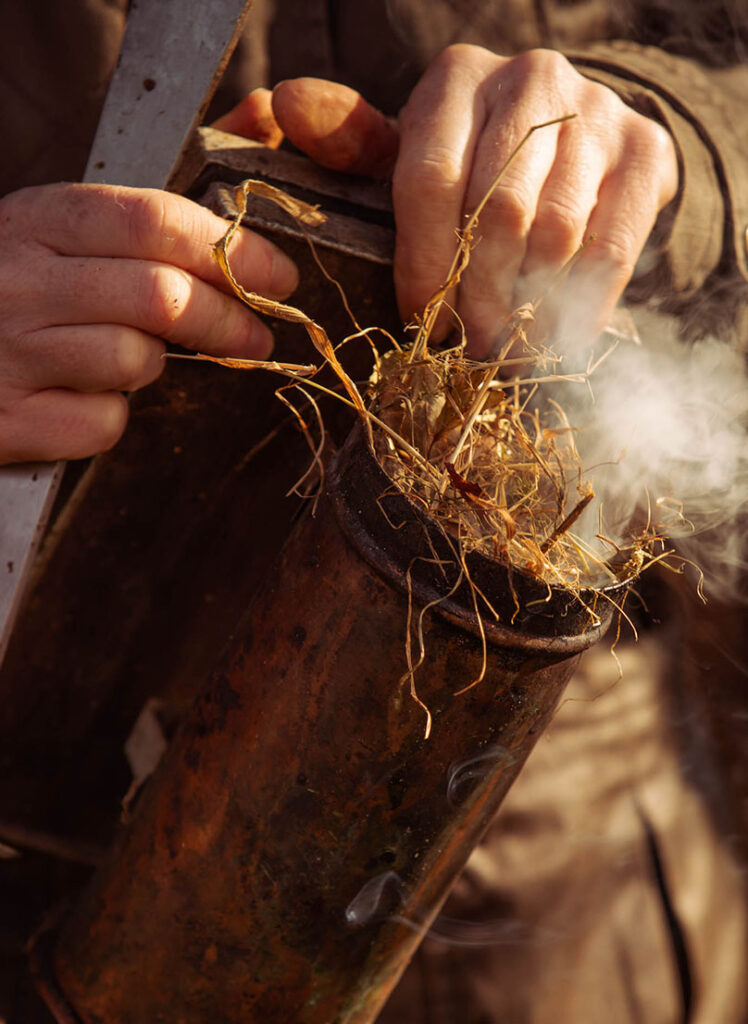 galtee honey farm web ready 20