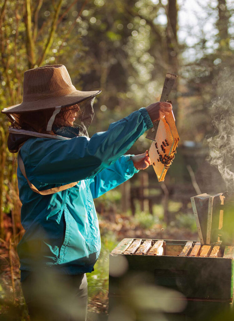 galtee honey farm web ready 4
